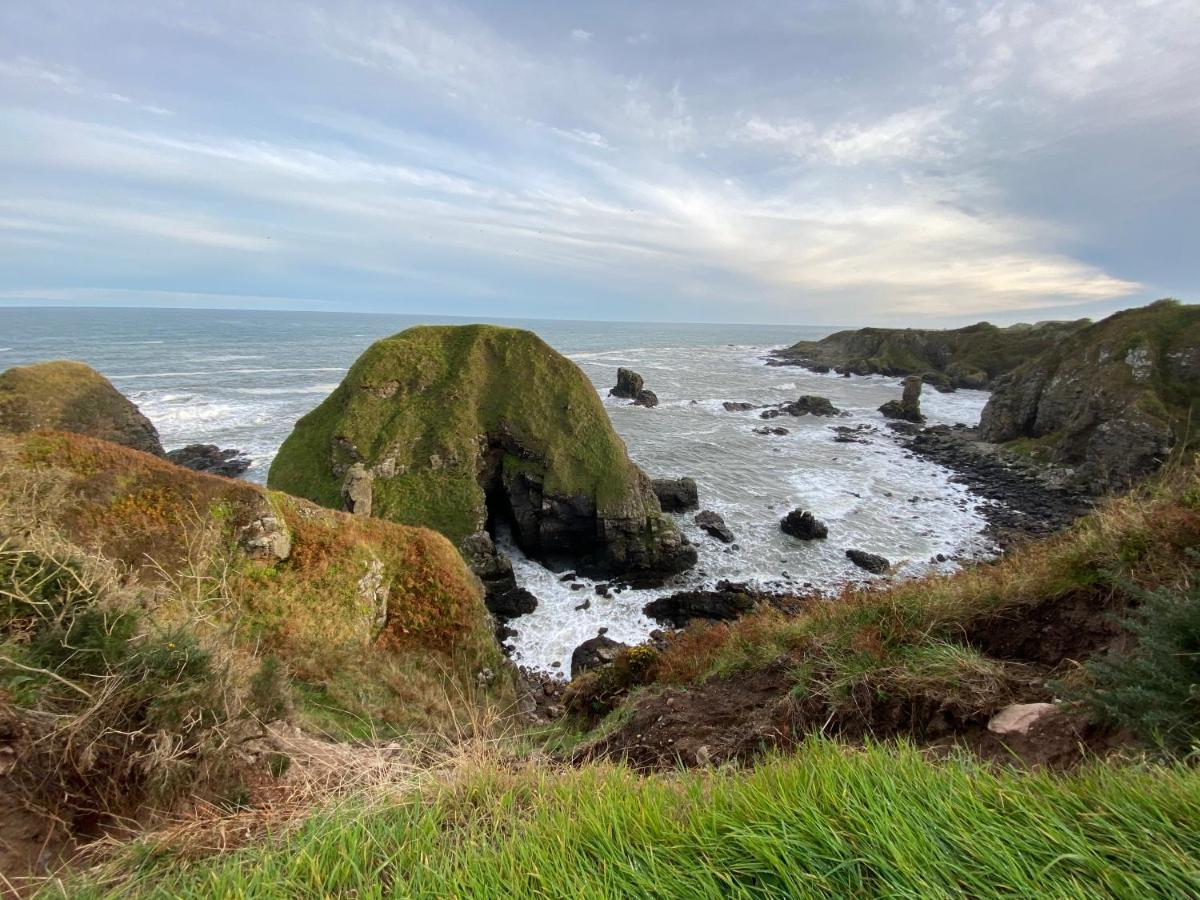 Muchalls Toadhall Rooms מראה חיצוני תמונה