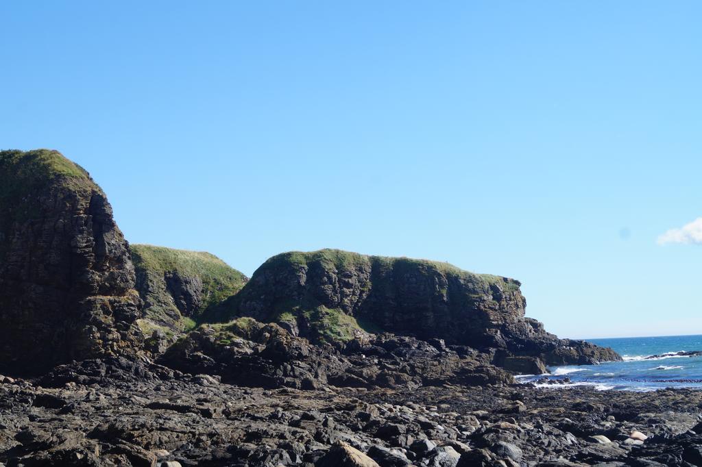 Muchalls Toadhall Rooms מראה חיצוני תמונה